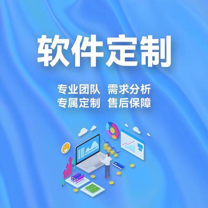 上海软件开发行业：数字生态的创新绿洲